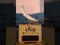 Chip