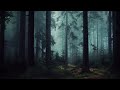 DARK FOREST Ambience and Music - sounds of dark misty forest with ambient music