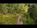 Treadmill Workout Virtual Run | Mountain Running Scenery Videos Summer