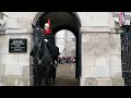 Changing of the Guard. London 🇬🇧 20-11-23.