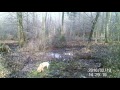 Aldi Wildkamera Maginon wk 3 hd Bentheimer Wald 2016