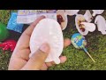 Kinder joy dianosaur Egg | Amazing #gifts inside | junglee safari sweets asmr video