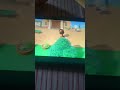 Villager Hunting in Animal Crossing Because I'm Bored!