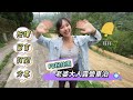 我在ㄧ片荒地車泊野營【車宿未開發露營區 螢火蟲多到數不清】四下無人超放鬆｜車中泊｜car camping | vanlife《老婆大人》