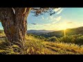 Calm and Peaceful Piano Music - Beautiful Sunrise in the Mountains