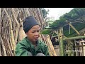 Build bamboo houses for chickens, peaceful life in the countryside | Tâm Tình Farm