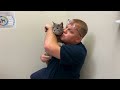 Cat takes car ride to the vet and cry after vaccination.