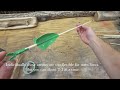 The Easiest Way To Make A Bow | 10 Minute Bow Build