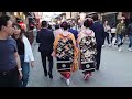 Geisha Walk in Kyoto Gion Hanamikoji | Amazing Beautiful Kimono and Obi 京都、祇園祭直前、花見小路を歩く舞妓さん、感動の着物と帯