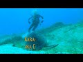 Scuba Diving in Green Bay Protaras Cyprus