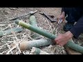 Mengganti Atap Dengan Bambu Membuat Kursi Dan Meja Untuk Bersantai || Solo Bushcraft Camping