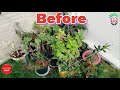 DIY || Jeans Planter || Waste Material Planter || Garden Corner Makeover ||