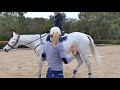 3 Jump Exercises for every rider w/ Han Equestrian & Amanda Ross | Vlogs