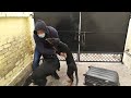 Rottweiler dogs meet owner after a long time| Dog welcoming owner