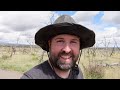 Self-Guided Rainy Day at MESA VERDE National Park - What Can One Do? | Colorado