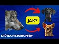 Krótka historia PSÓW