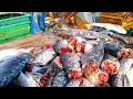 Unbelievable 😱😱😱 #viral #fish #amazing #sri_lanka_fish_market #funny #bluefin_tuna_fish