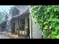 Heavy rain, strong winds and thunder in an Indonesian village||special for insomnia||indoculture