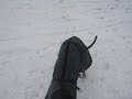 greyhound the snowhound