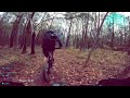 🐛 Mountainbike POV: The Bug w/ Pete Downhill MTB Trail 🐞 #bike #gopro