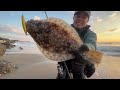 【茨城遠征】美しき茨城北部のサーフでヒラメを釣り上げる！【県北サーフ編】