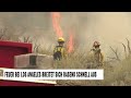 Waldbrand bei Los Angeles breitet sich rasant aus