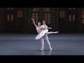 The Nutcracker and the Mouse King - The National Ballet of Japan | New National Theatre, Tokyo