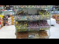 Dammam Seiko Market ! cheapest market in dammam ! life in dammam saudi arabia !