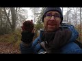 Vlog01: The foggy forest and a new kitten