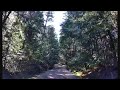 Driving on Salt Spring Island, BC from Ganges to Mount Maxwell Provincial Park - ihikebc.com
