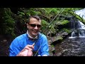 42 Miles for Brook Trout | Backpacking and Fly Fishing the PA Back Country