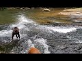 Water Boxers