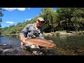 DRY FLY Fishing in a REMOTE River [New Zealand]