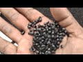 Full process How Big plastic pipe is Processed from scrap to Money making Granules