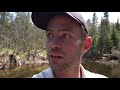 3 Days Solo Camping and Canoeing on Backcountry River - Moose and Calf Encounter