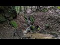 Gentle Sound Of A Mountain Water Stream In Forest | Relaxing White Noise Water Sound for Sleeping