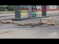 08-09-2024 Westfield, Pennsylvania - Flash Flood Emergency - Damage - Water in Homes