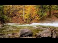 Alone With GOD: Piano Worship Music for Prayer & Meditation with Autumn🍁Divine Melodies