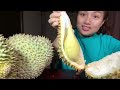 3 Durian Fruits 3 million 300 thousand Alone Weighs All Too Much Too 😆 # 27