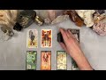 🕵🏼‍♀️😱 What Are They Hiding From You? 😱🕵🏾‍♀️ (Secrets Revealed) tarot pick a card