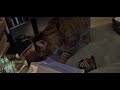 Cat meowing Loud as he carries toy in his mouth - ft.  Alexander the Library Cat  - 1080p