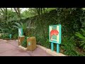 Disney's Animal Kingdom - DINOSAUR & Morning Walkthrough at Walt Disney World [4K POV]