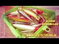 シーバス釣りたい人は是非やってみて【湾奥テトラ帯】