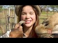 Die Zunge der Giraffe | Reportage für Kinder | Anna und die wilden Tiere