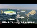 【潮目】潮目はなぜ魚が釣れるのか？その秘密を徹底解剖