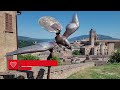 Urbino: cosa vedere in due giornate. Cosa no perdere nella città Patrimonio Unesco. Regione Marche.