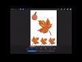 How to Draw Stickers with Procreate-Trace Photos to Make Stickers