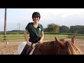 HORSE RIDING MISTAKES - 10 WORST MISTAKES