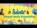 LARVA SEASON 2 EPISODE 361 ~ 463 🍟 NEST VERSION LARVA 2024 | MINI SERIES FROM ANIMATION LARVA