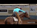 Ms Dreamy & Dan Huss: Bridleless Reining